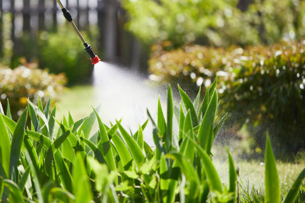 Tamper-Resistant Bait Stations for Rodents in Eastman