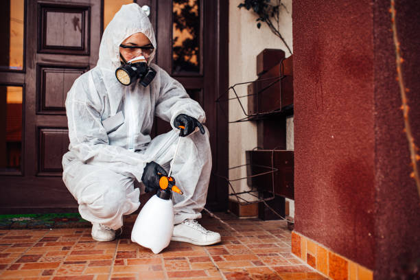 Attic and Crawl Space Rodent Treatment in Eastman