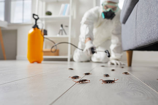 Commercial Rodent Management in Eastman
